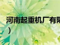 河南起重机厂有限公司（河南起重机厂家排名）
