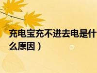 充电宝充不进去电是什么原因罗马（充电宝充不进去电是什么原因）