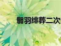 翳羽绯葬二次元排名榜（翳羽绯葬）