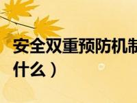 安全双重预防机制费用（安全双重预防机制是什么）