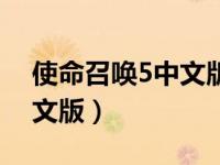 使命召唤5中文版下载百度云（使命召唤5中文版）