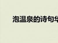 泡温泉的诗句华清池（泡温泉的诗句）