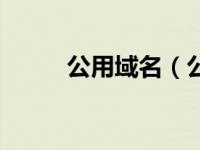 公用域名（公信域名有必要续费）