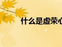 什么是虚荣心强（什么是虚荣心）