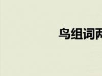 鸟组词两个字（鸟组词）