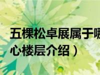 五棵松卓展属于哪个公司（五棵松卓展购物中心楼层介绍）