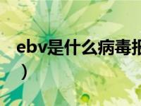 ebv是什么病毒报告怎么看（ebv是什么病毒）