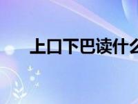 上口下巴读什么字（上口下巴读什么）