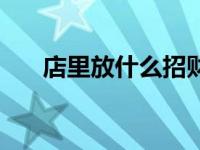 店里放什么招财呢（店里放什么招财）