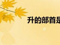 升的部首是什么（升的部首）