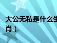大公无私是什么生肖动物（大公无私是什么生肖）