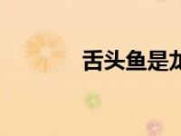 舌头鱼是龙利鱼吗（舌头鱼）
