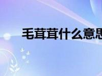 毛茸茸什么意思啊（色骚阴处毛茸茸）