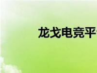 龙戈电竞平台（龙戈电竞官网）
