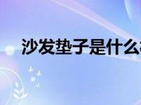 沙发垫子是什么材料（沙发材料有那些）