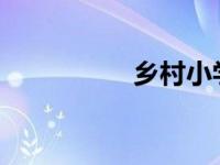 乡村小学教研工作总结