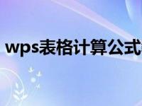 wps表格计算公式教程（wps表格公式教程）