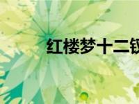 红楼梦十二钗排名（十二钗排名）
