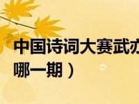 中国诗词大赛武亦姝（中国诗词大会武亦姝是哪一期）