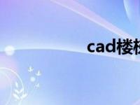 cad楼梯立面图怎么画