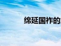 绵延国祚的意思（国祚的意思）