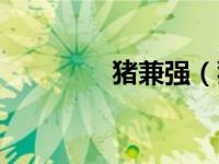 猪兼强（猪兼强学车可靠）