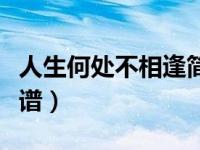 人生何处不相逢简谱视唱（人生何处不相逢简谱）
