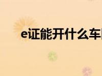 e证能开什么车图解（E证能开什么车）