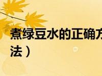煮绿豆水的正确方法妙招（煮绿豆水的正确方法）