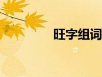 旺字组词app（旺字组词）