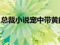总裁小说宠中带黄的（小说 杀手总裁出逃妻）