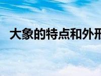 大象的特点和外形描述（关于大象的资料）