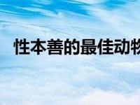 性本善的最佳动物是什么（性本善的动物）