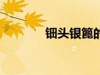钿头银篦的拼音（钿头银篦）