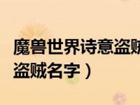 魔兽世界诗意盗贼名字怎么取（魔兽世界诗意盗贼名字）