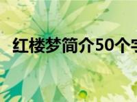 红楼梦简介50个字（红楼梦简介资料100）