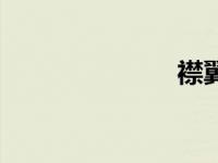 襟翼舵（襟翼）
