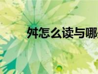 舛怎么读与哪些字同音（舛怎么读）