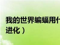 我的世界蝙蝠用什么驯服（我的世界嗡蝠几级进化）