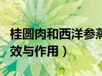 桂圆肉和西洋参蒸着吃有何功效（桂圆肉的功效与作用）
