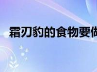 霜刃豹的食物要做多少次（霜刃豹的食物）