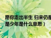愿你走出半生 归来仍是少年!下一句（愿你走出半生 归来仍是少年是什么意思）