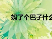 妈了个巴子什么电视剧（妈了个巴子）