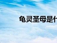 龟灵圣母是什么意思（龟灵圣母）