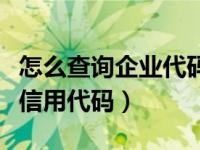 怎么查询企业代码（企业代码是不是统一社会信用代码）