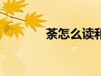 荼怎么读和组词（荼怎么读）