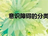 意识障碍的分类4级（意识障碍的分类）