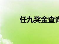 任九奖金查询表（任九奖金查询）