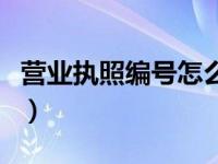 营业执照编号怎么查询（营业执照编号怎么查）