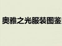 奥雅之光服装图鉴大全（奥雅之光服装大全）